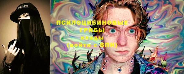 spice Абинск