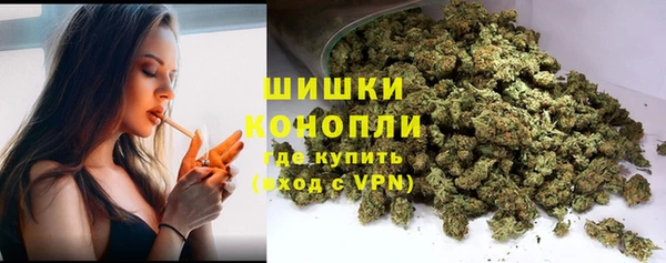 прущие грибы Абаза