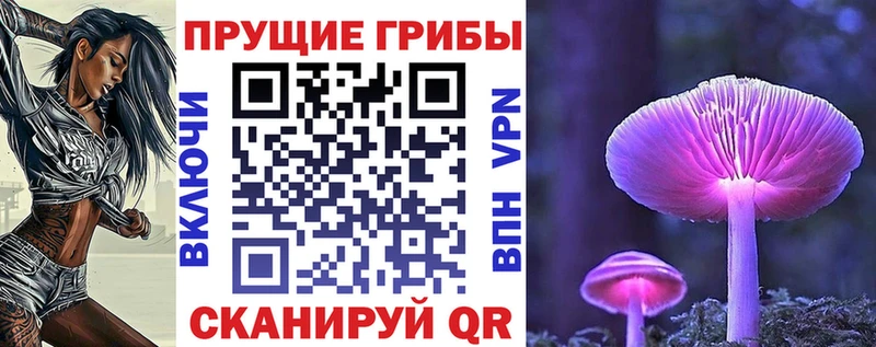 купить наркотики цена  Шацк  Псилоцибиновые грибы Psilocybine cubensis 